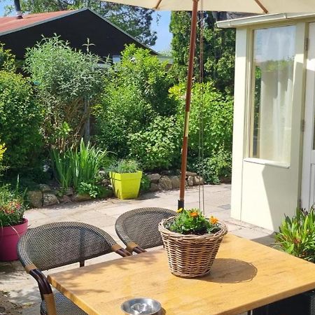Zonnig Zuid Villa Dirkshorn Dış mekan fotoğraf